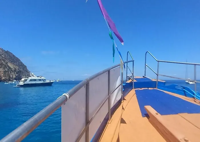 Oleander House * 蓬扎