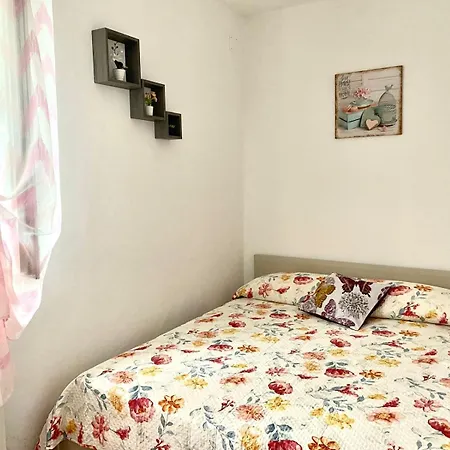 Oleander House *